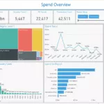 Importance of Spend Analysis