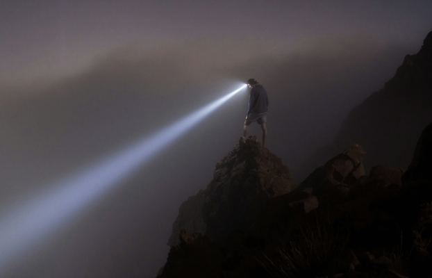 Beyond Tools: Why AI Fluency Will Define the Procurement Professionals of Tomorrow