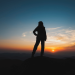 User experience in procurement platforms
