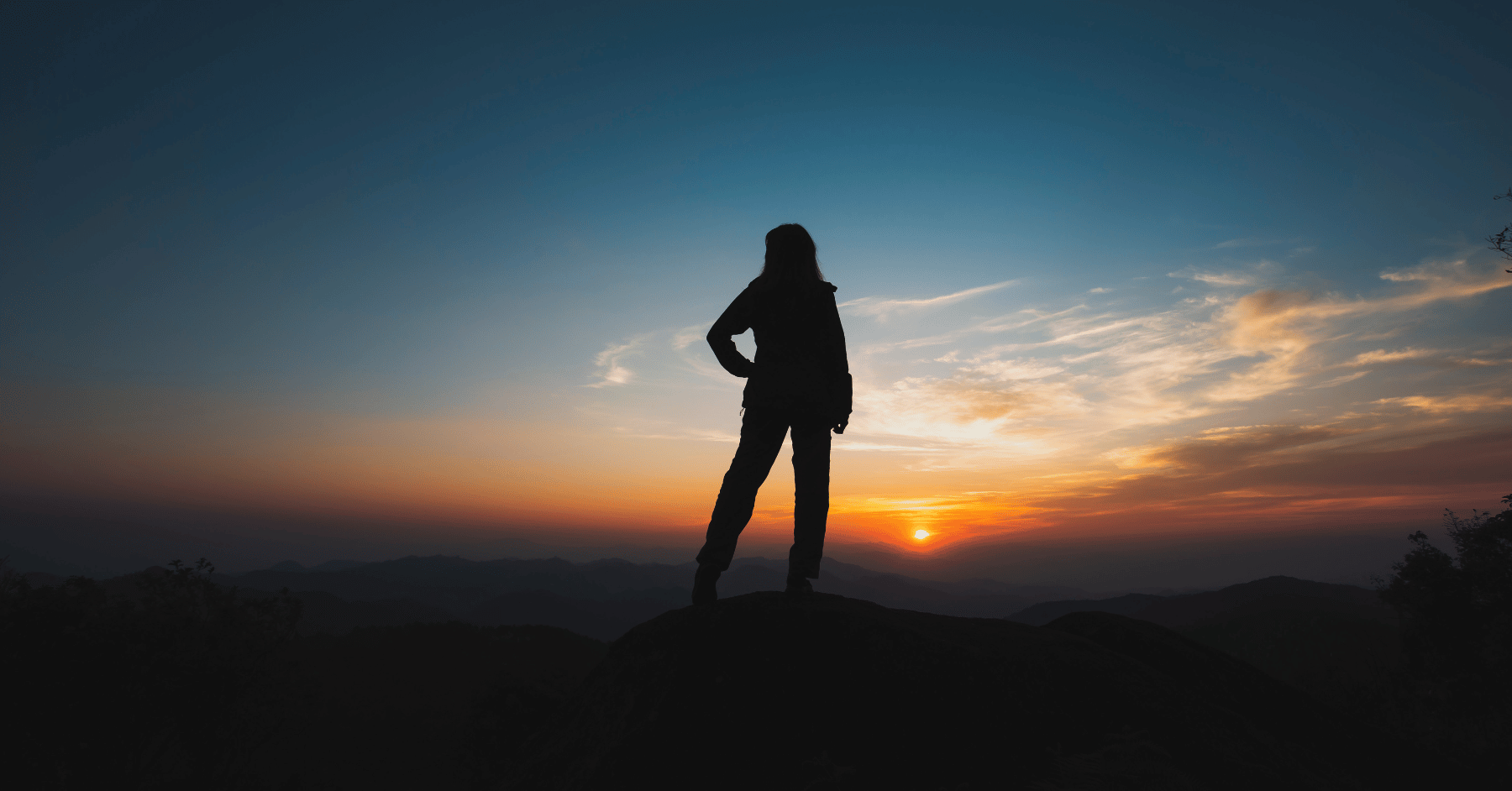 User experience in procurement platforms